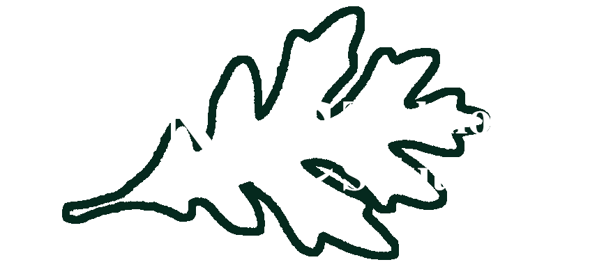 WNC Technology Solutions